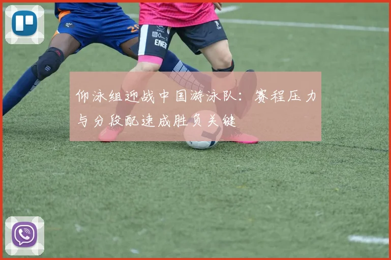 仰泳组迎战中国游泳队：赛程压力与分段配速成胜负关键