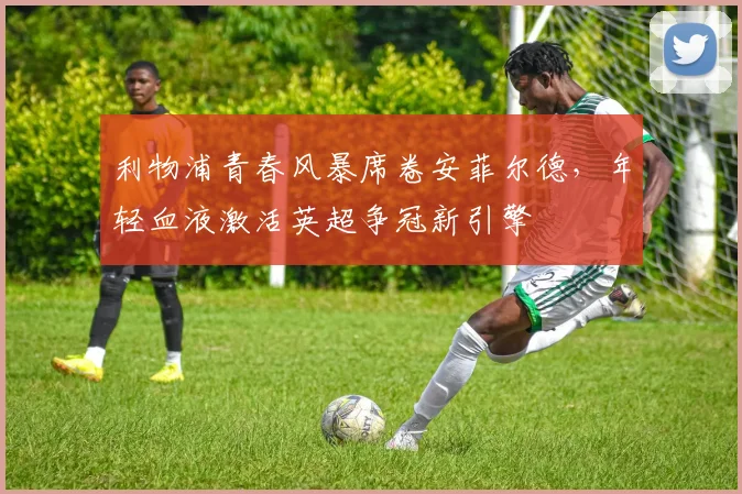 利物浦青春风暴席卷安菲尔德，年轻血液激活英超争冠新引擎